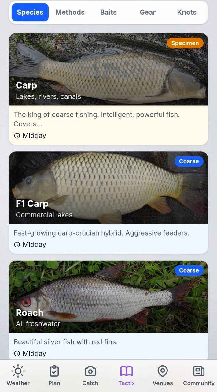 The FishingTactix Tactix library showing species cards for Carp, F1 Carp and Roach, each with a photograph, habitat and feeding time.